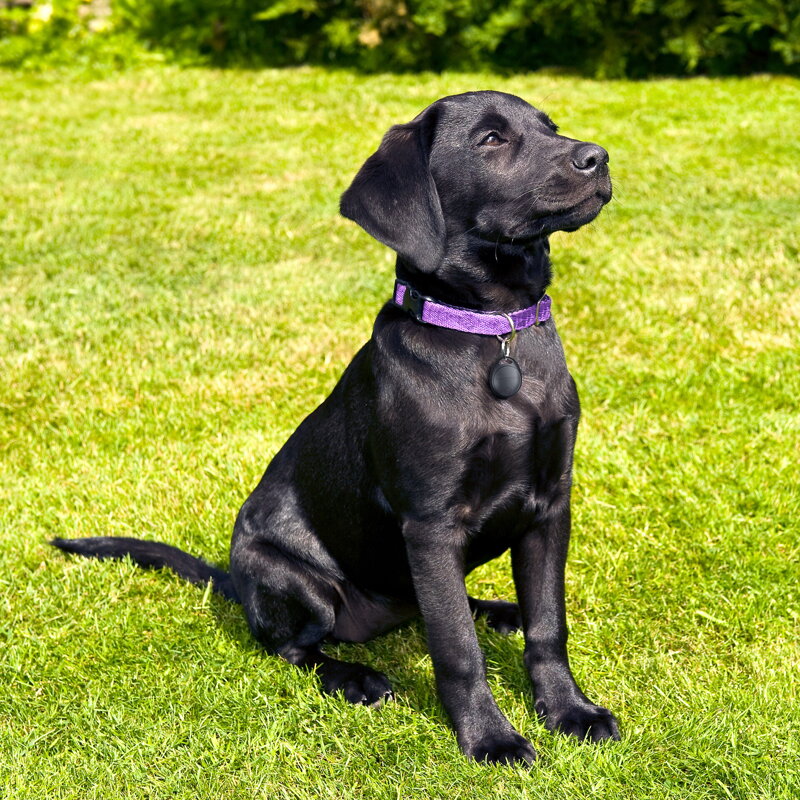 Localizador HoloTag con Apple Find My